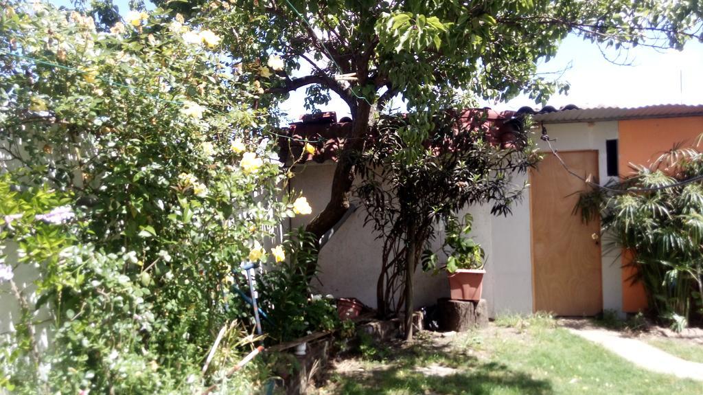 Casa Nachita *