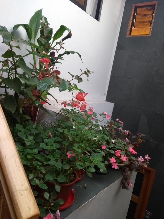Casa Nachita Hospedagem domiciliar