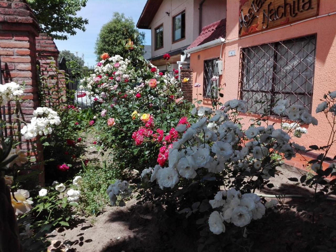 Hospedagem domiciliar Casa Nachita Talca (Maule)